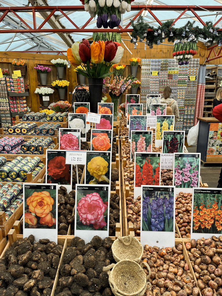 Bloemenmarkt bulbos de tulipanes en Bloemenmarkt