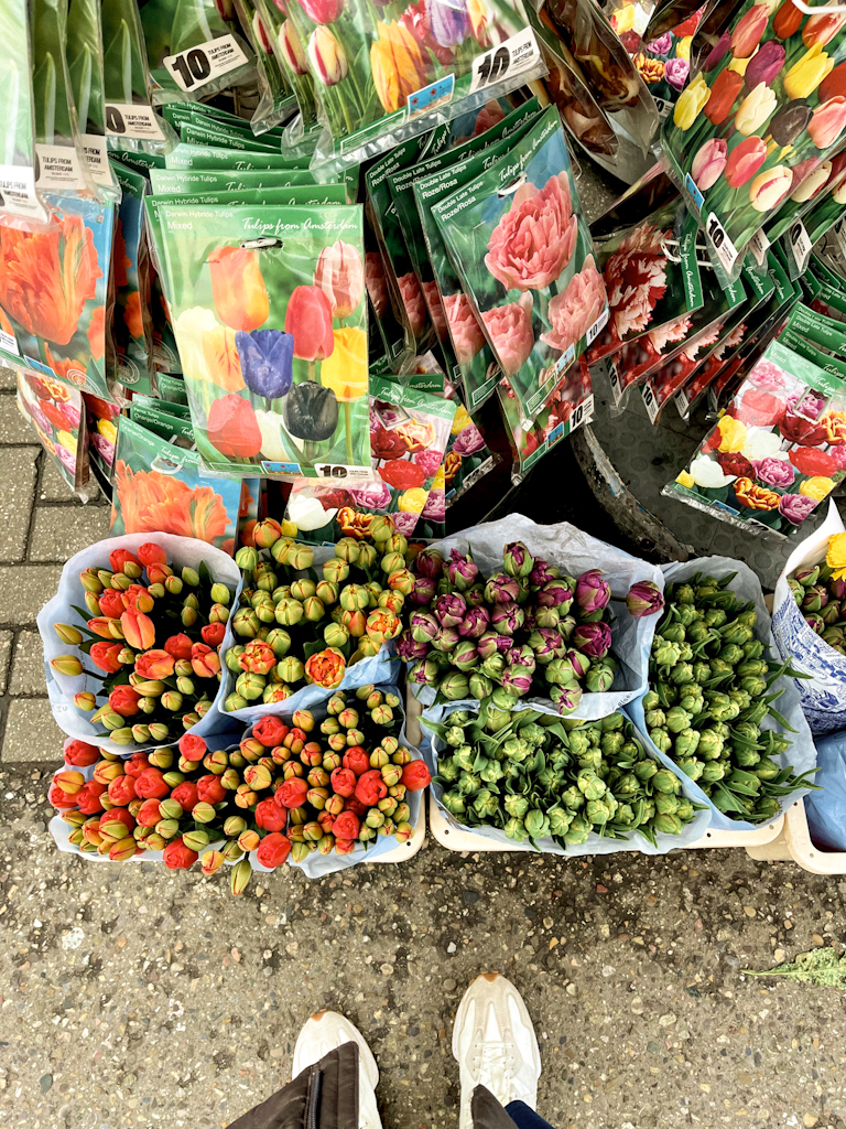 Bloemenmarkt tulipanes 2 Bloemenmarkt, mercado de las flores Ámsterdam