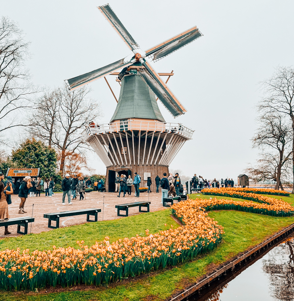 keukenhof keukenhof, campo de tulipanes en Amsterdam
