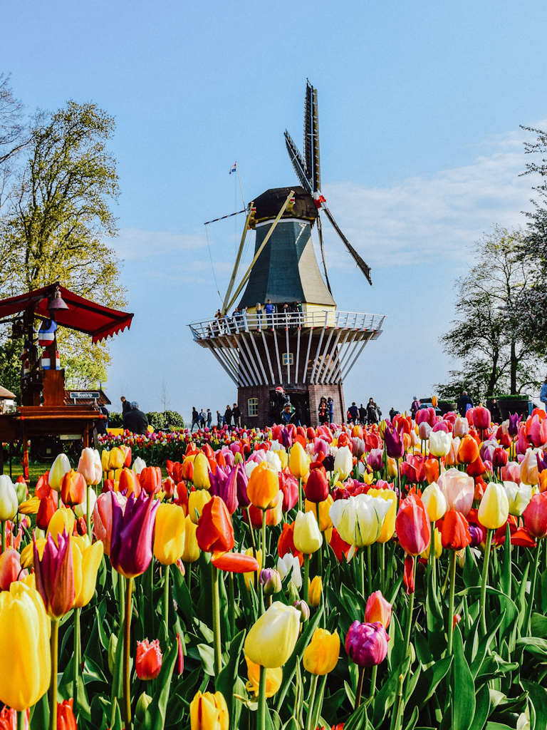 molino viento keukenhof