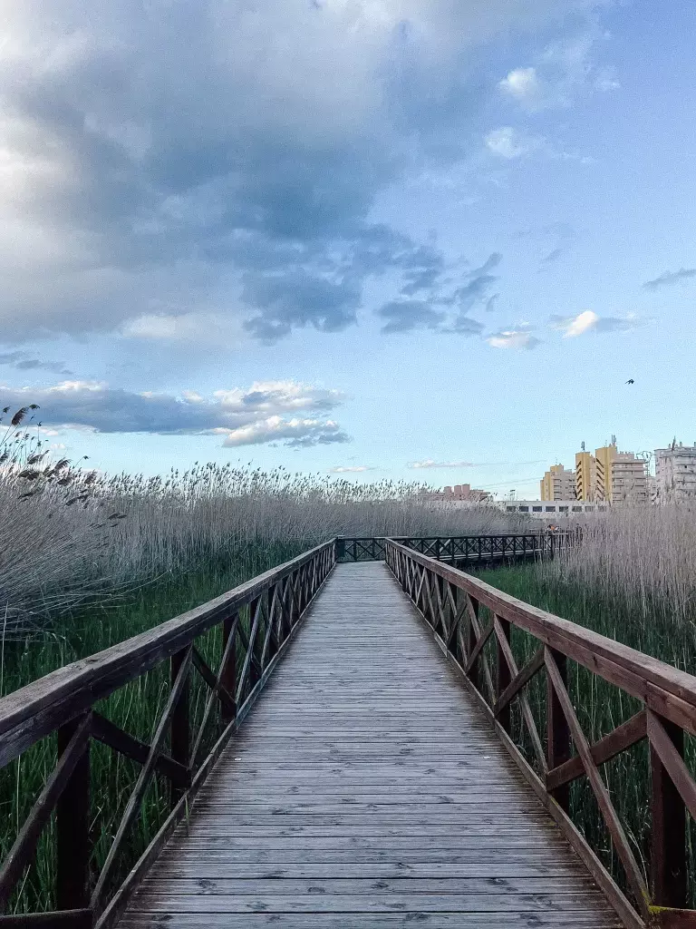 que ver en peñíscola en 1 dia que ver en peñíscola en 1 dia