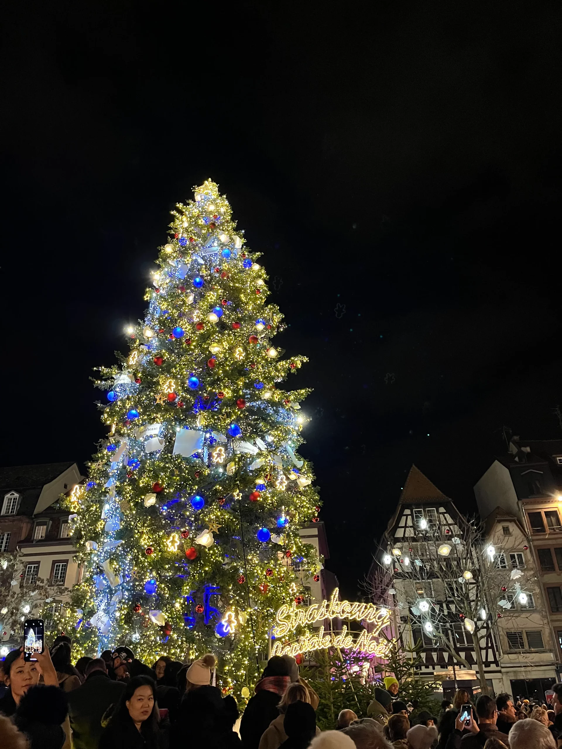 Arbol navidad estrasburgo