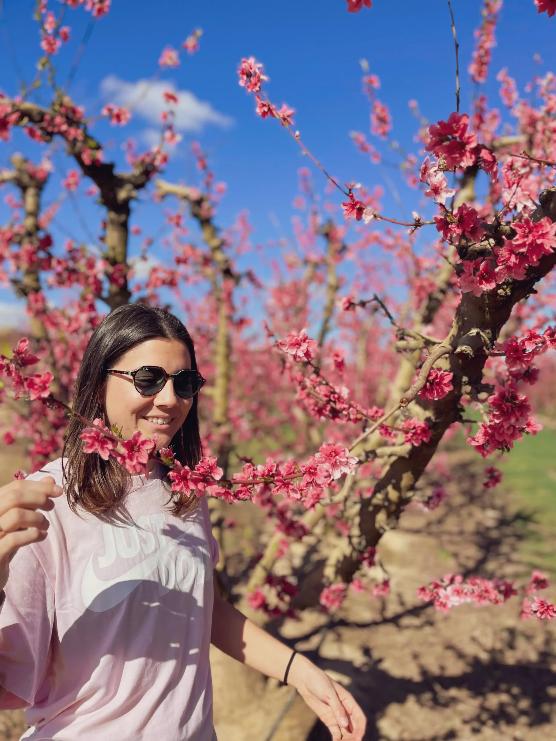 Camino entre árboles en flor en Aitona