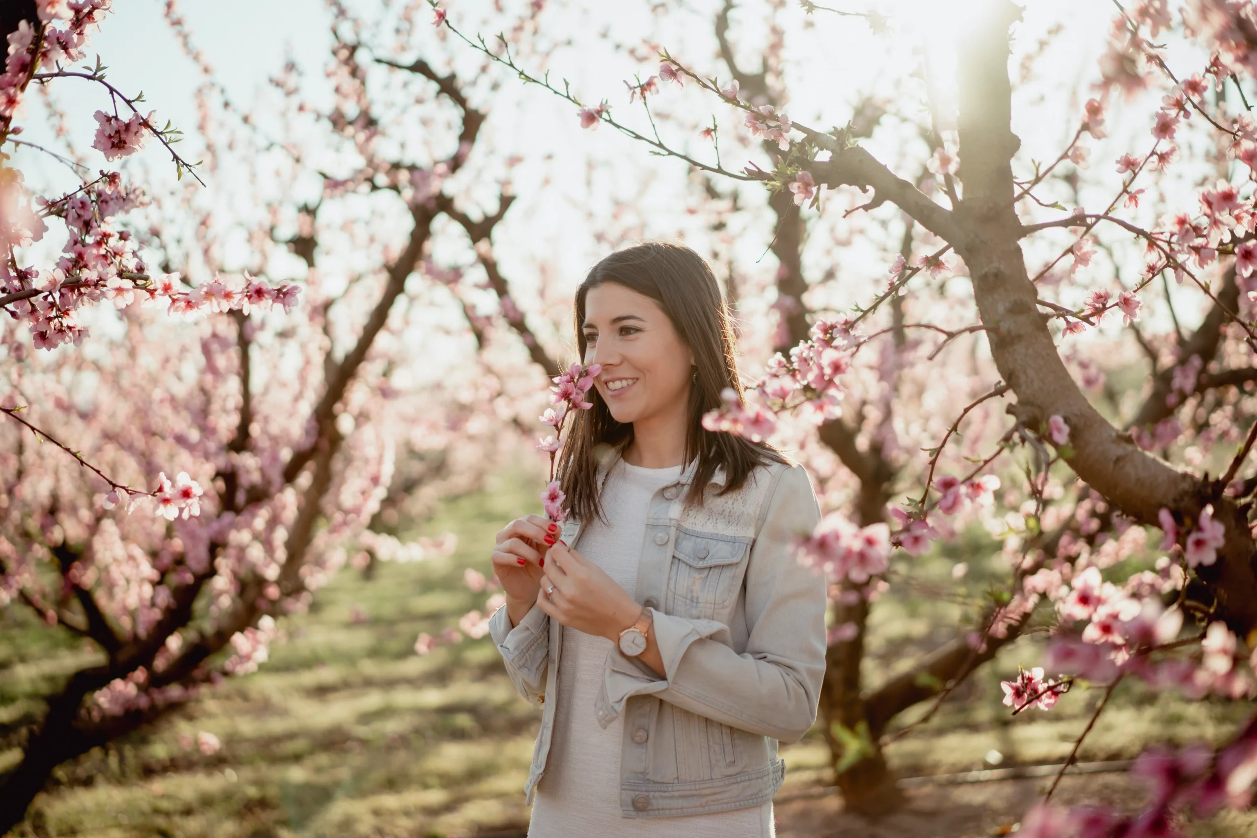 Melocotoneros en flor en Aitona 2026